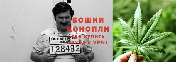 МДПВ Тында