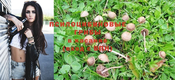 МДПВ Тында