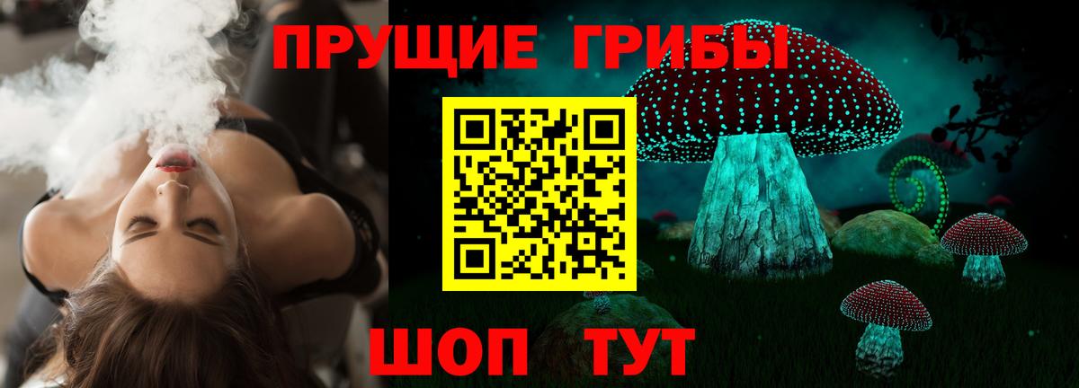Нурлат  где можно купить наркотик  Псилоцибиновые грибы мицелий  Вход с VPN  Псилоцибиновые грибы мицелий 